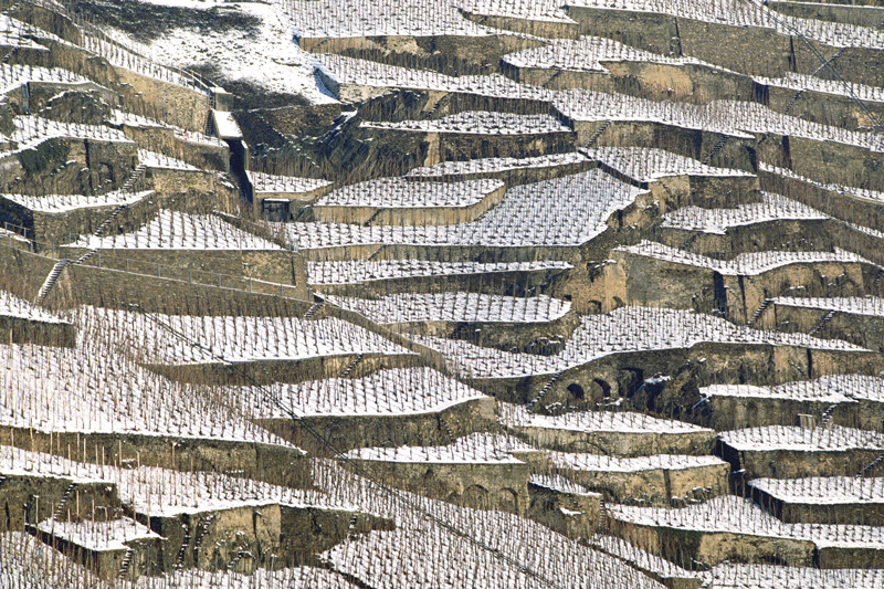 Historische Weinlandschaften: Ein Projekt an der Mosel