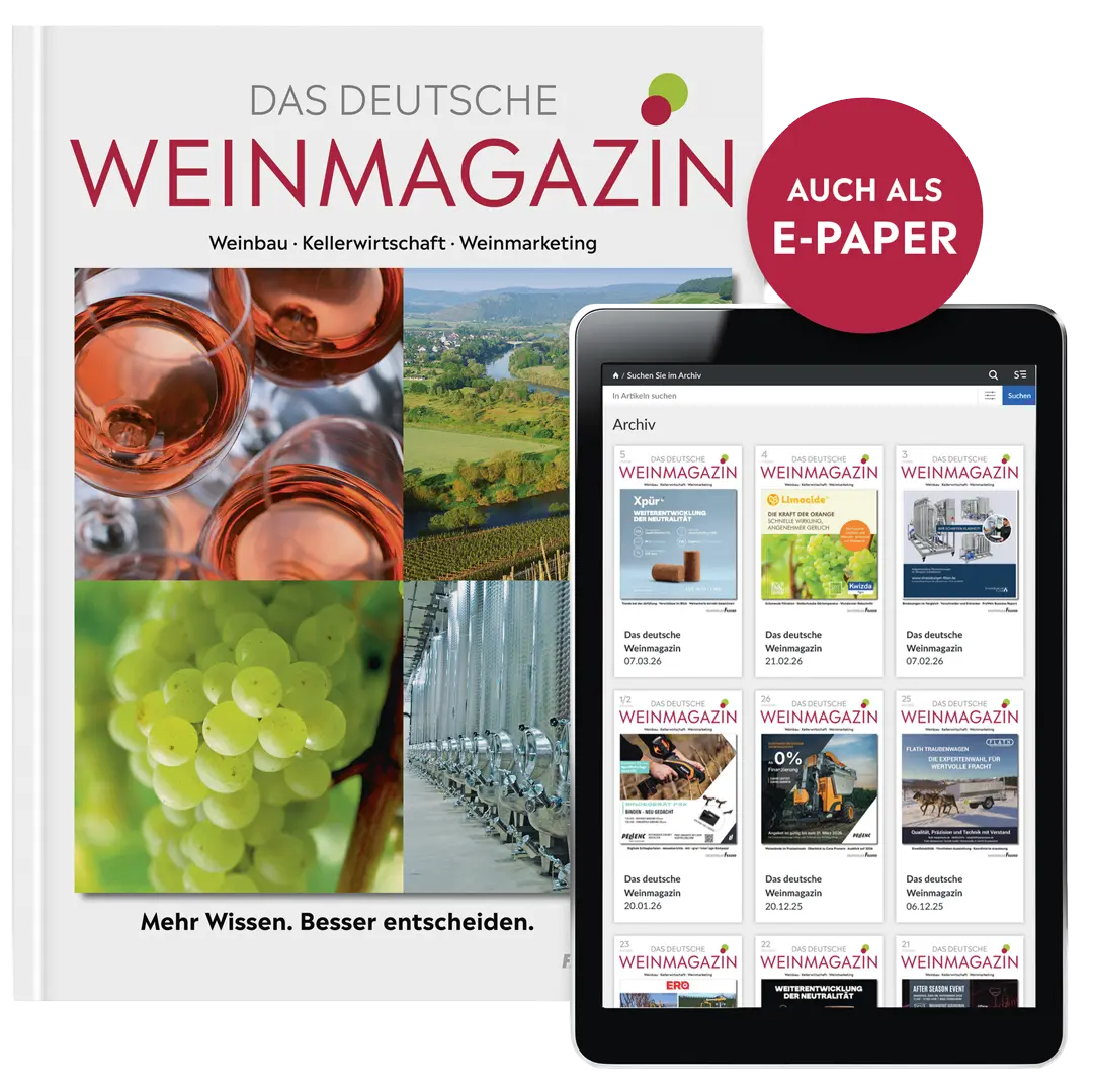 DWM E-Paper
