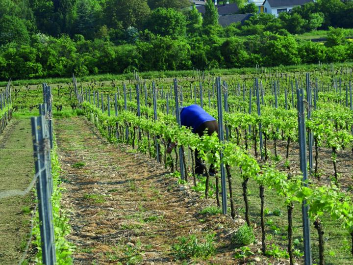 Neuanlage zur Arbeitsentlastung bei den Ausbrecharbeiten