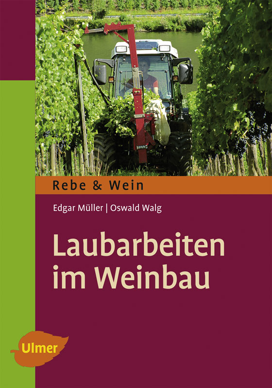 Laubarbeiten im Weinbau