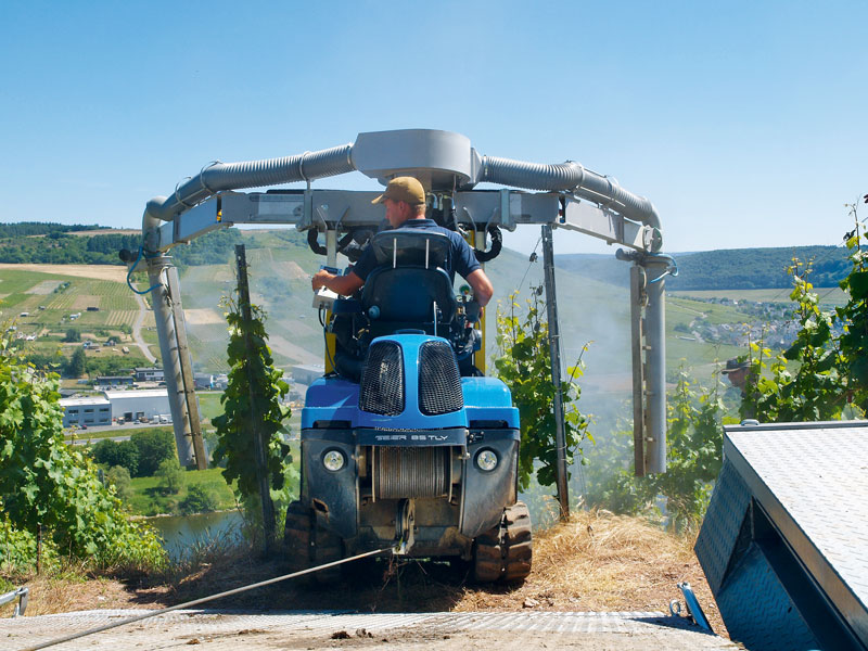 Ein Bild aus der Praxis, Teil II: Aktuelle Pflanzenschutzstrategien im Steilhang