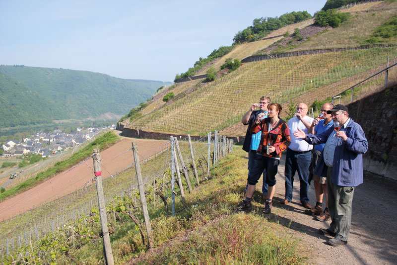 Erlebnisorientierte Weinproben