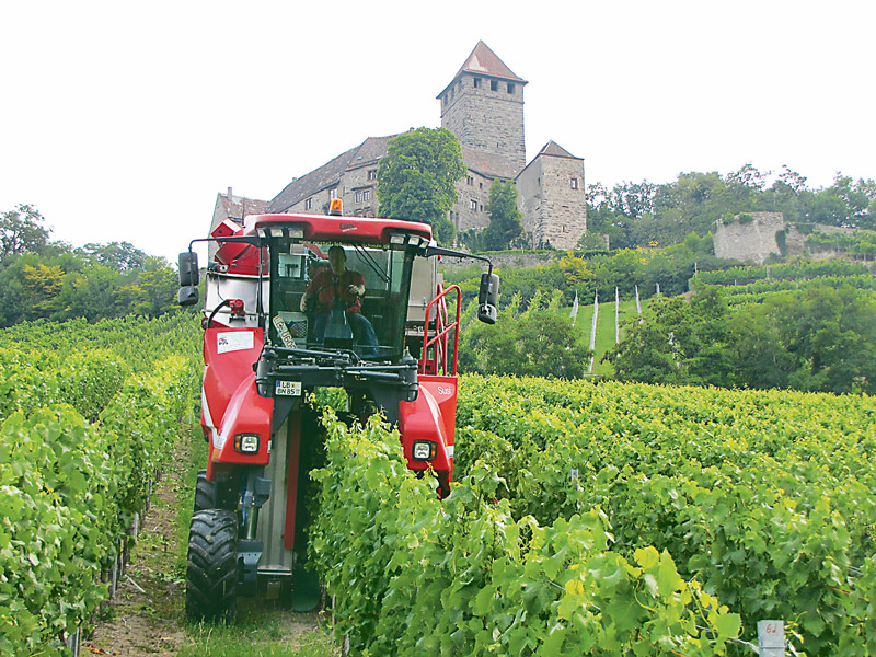 Vollernter: Maschinelle Ausdünnung schützt vor Botrytis