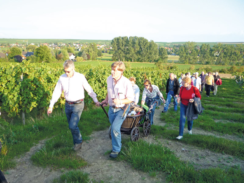 Gemeinsam Weinerlebnisse bieten