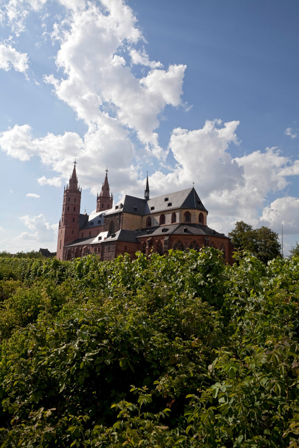 Relaunch für Liebfraumilch