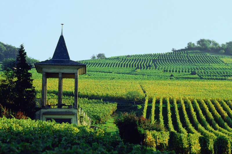 Hessen: ELER-Mittel