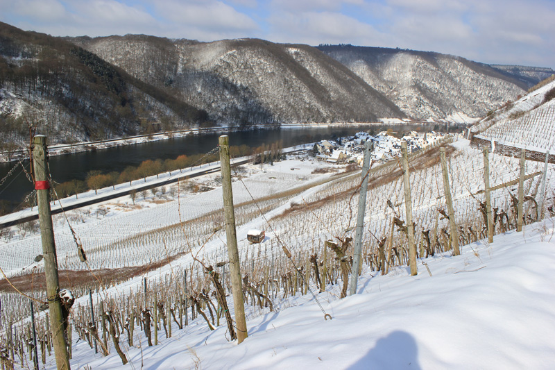Mosel: Seminar für Weinhoheiten