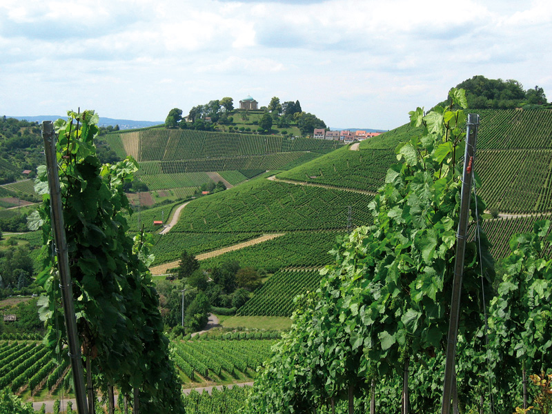 Württemberg: Steillagen an Neckar und Enz