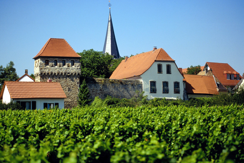 Pfalz:  Deutsches Weintor tagt