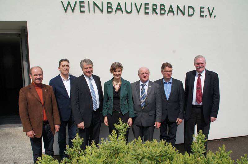 Baden: Schneider wiedergewählt