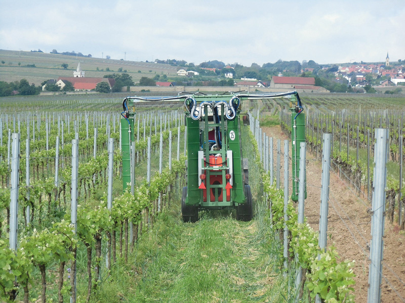 Mitteleinsatz im ökologischen Weinbau