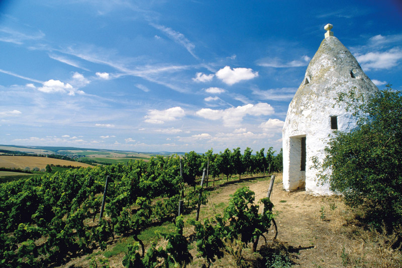 Rheinhessen: Neue Website für die Region