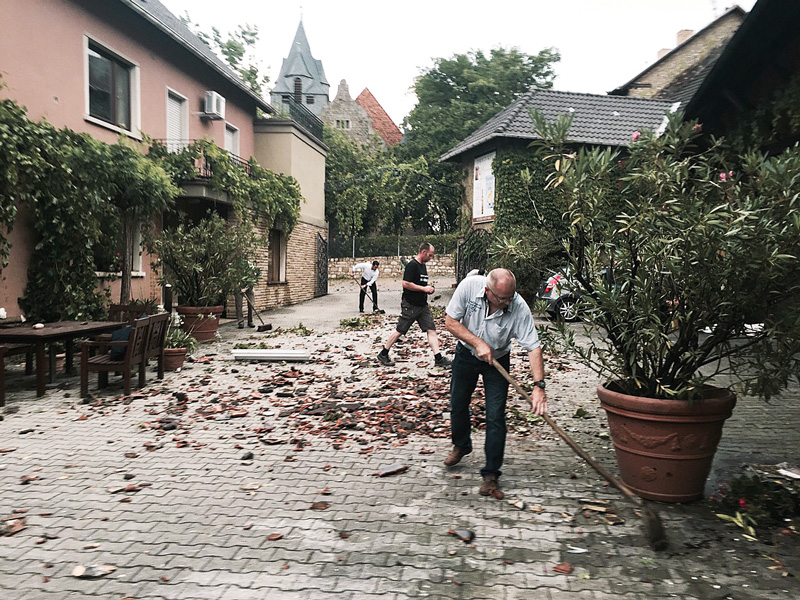 Betriebe können ab sofort Anträge für Unwetterhilfe in der Landwirtschaft stellen