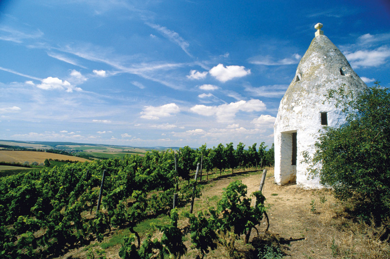 Weinernte Rheinhessen - Doch noch ein gutes Ende