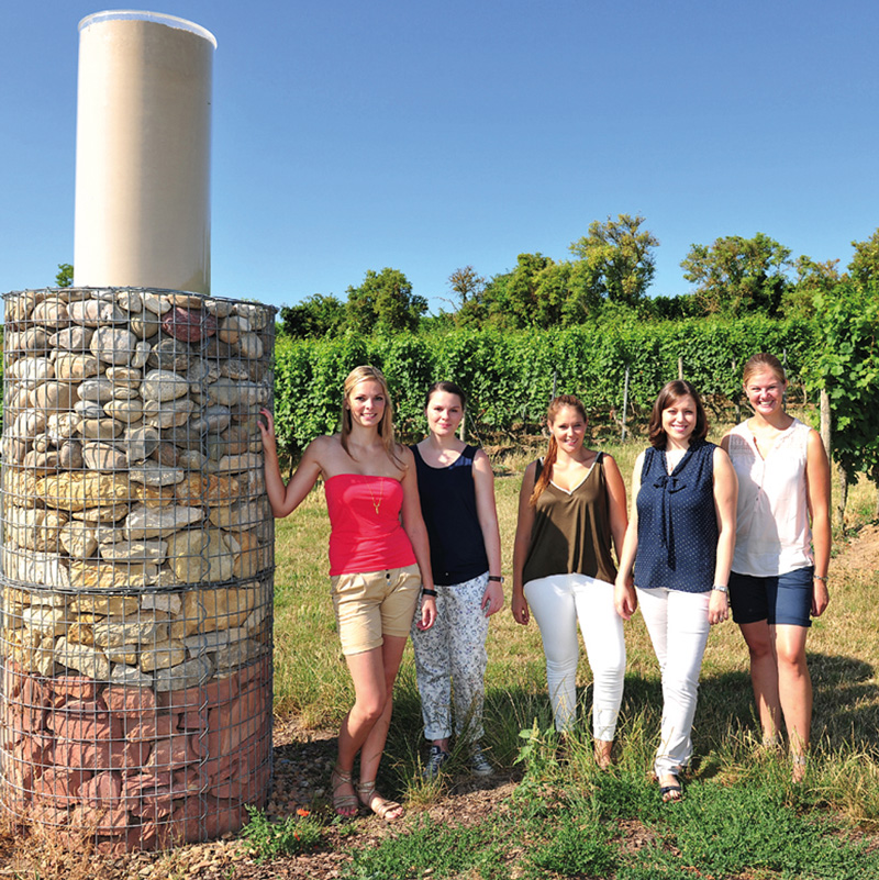 Rheinhessen: Zukünftige Weinhoheiten