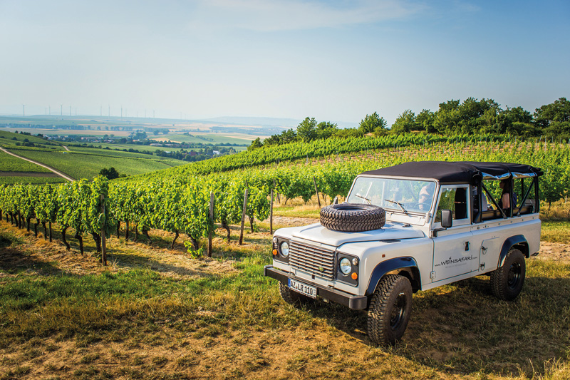 Rheinhessen: Wine Tourism-awards gewählt