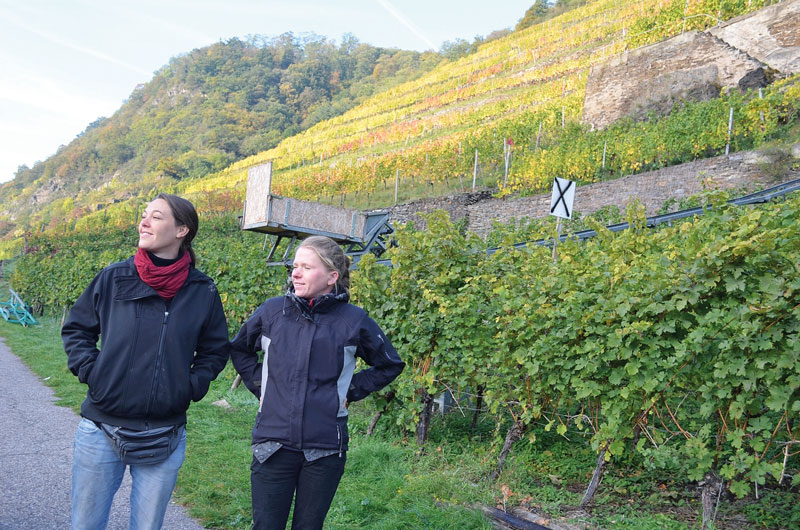 Mosel: Förderung in Steillagen