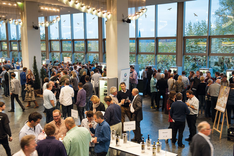 Rheinhessen: Weinforum am Rhein