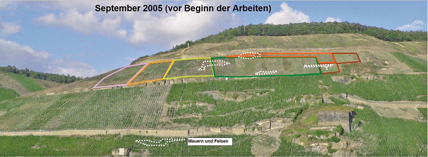 Humusaufbau im Steilhang