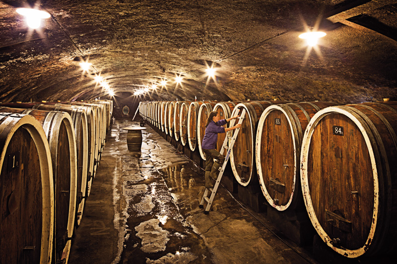 Gelungene Symbiose von Holz und Wein, Teil 1