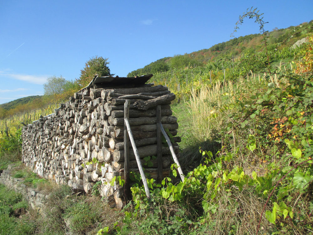 Biodiversität im Weinbau zielführend