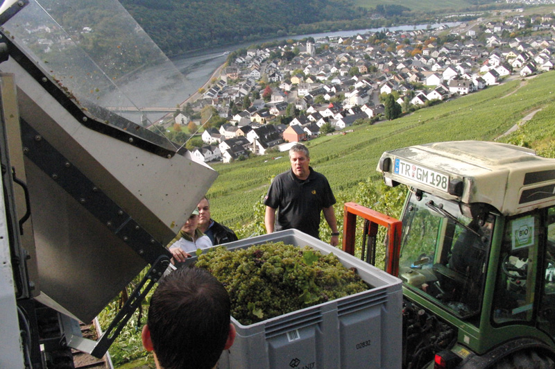 Arbeitsqualitäten bei Steillagenvollerntern