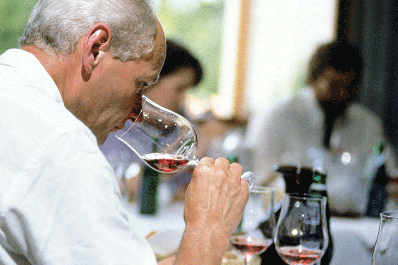 Auf der Spur von muffigen Fehltönen im Wein