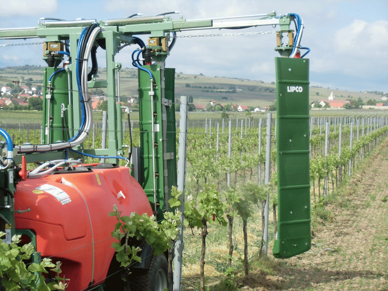 Es geht wieder los im Öko-Weinbau