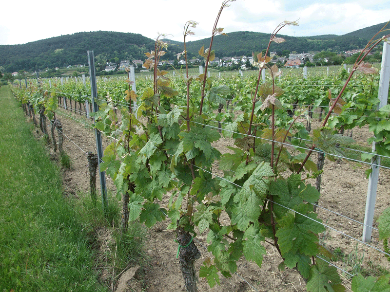 Retten, was übrig ist