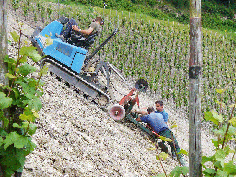 Action im Steilen