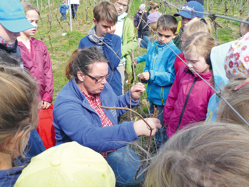 Kinderwingert soll Interesse wecken