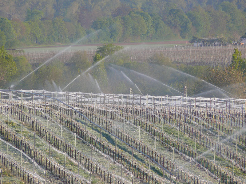 Was hilft gegen Frost?