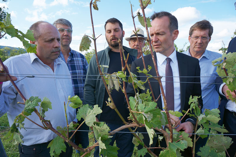 Rheinland-Pfalz: Totalschäden in der Südpfalz