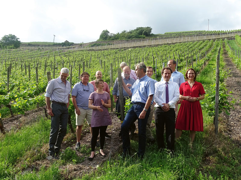 Rheingau: Steillagen Allianz