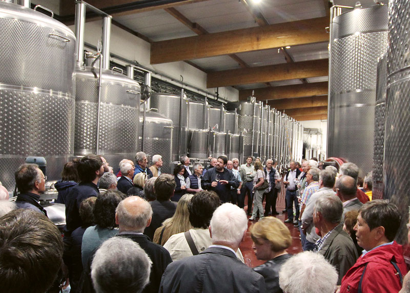 Pfalz: Absolventen Weinbau