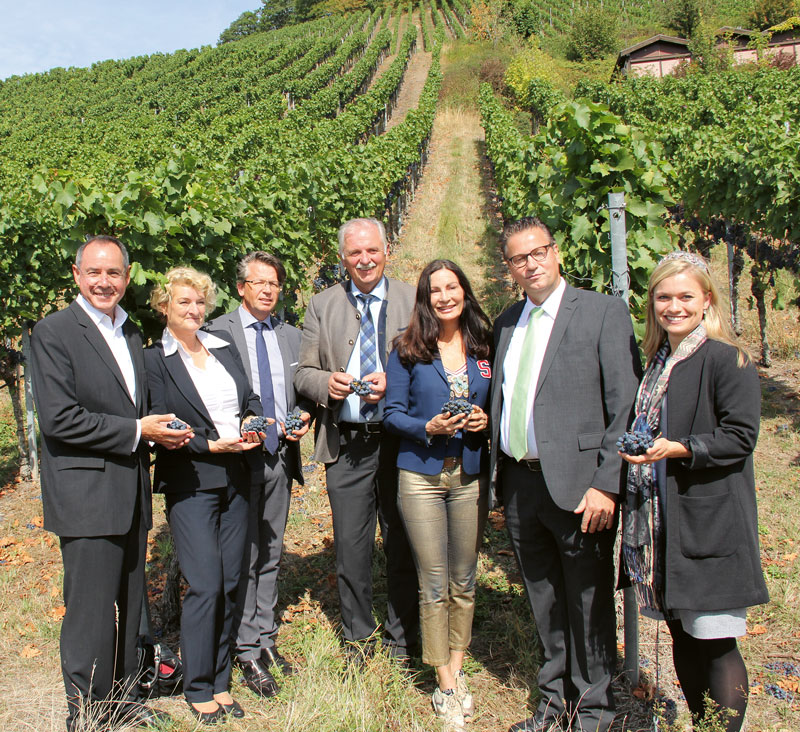 Wein-Technologie Management Studium