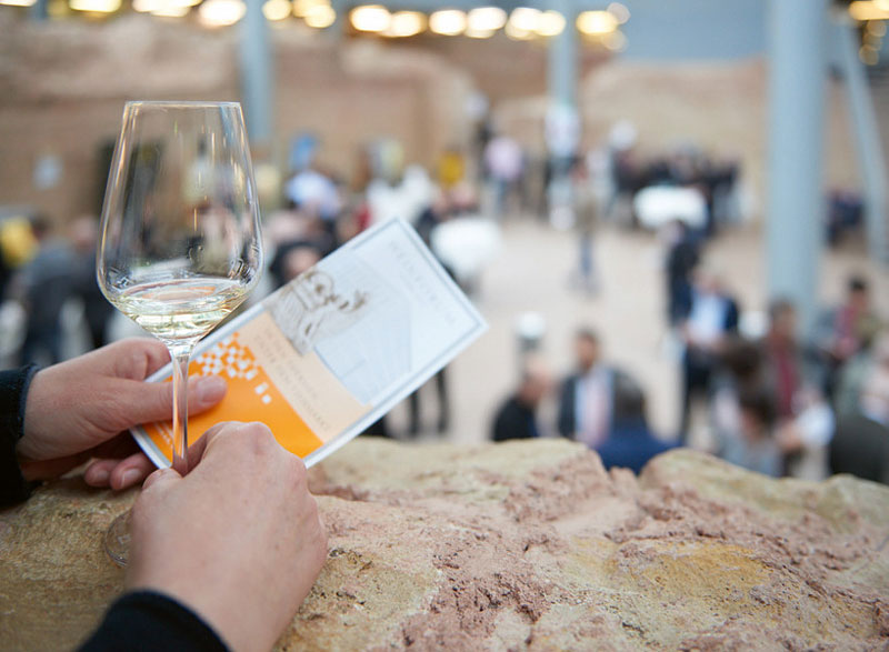 Mosel: Weinforum Mosel
