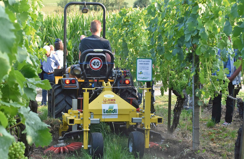 Schweiz: Schweizer Weinbauern reduzieren Pflanzenschutz