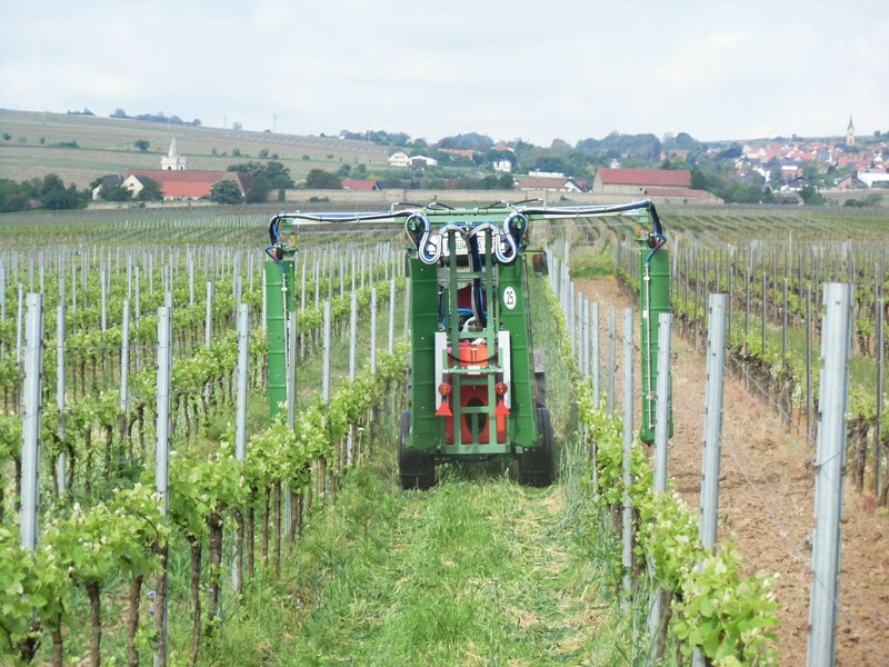 Kupfereinsatz im ökologischen Weinbau