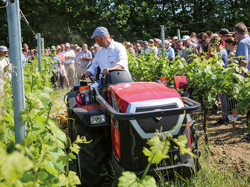 Konkurrenzkampf im Weinberg