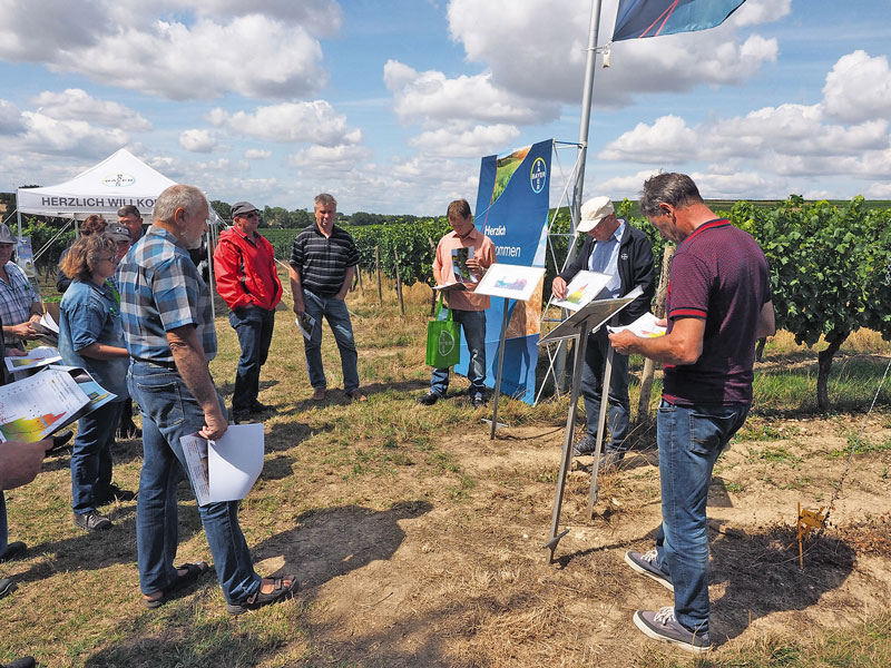 Strategie-Empfehlungen beim Bayer-Weinbautag