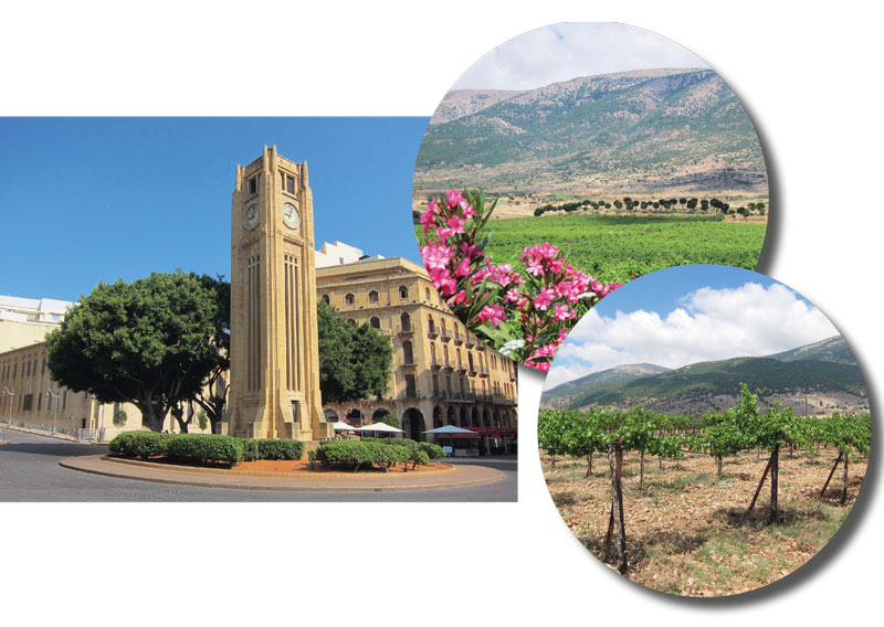 Libanon – altes Weinbauland