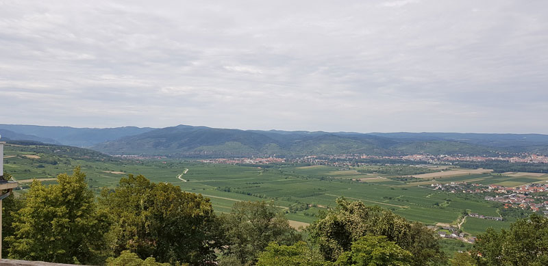 Weinanbau in Österreich, Ungarn und Tschechien