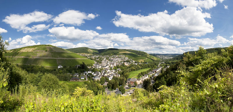 Mosel: Meilenstein für den Ruwer-Riesling