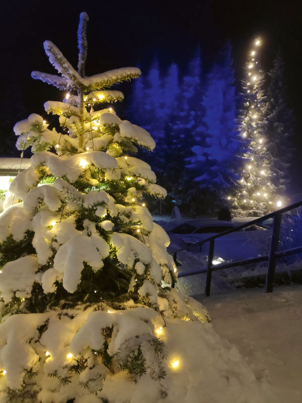 Weihnachtsgrüße