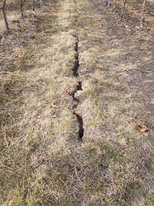 Auswirkungen des Klimawandels