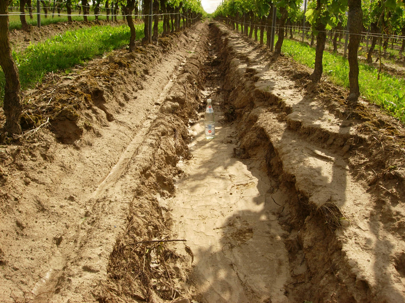 Erosionsgefahr einschätzen und minimieren