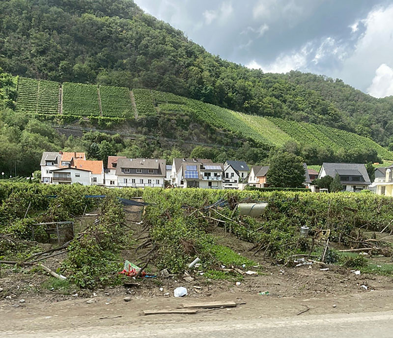 Weinbau-Organisationen bündeln Spenden für Ahr