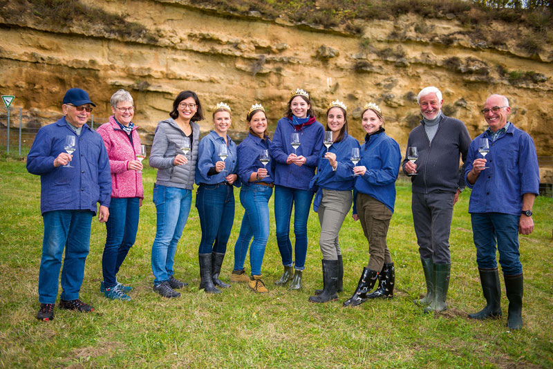 Rheinhessen: Lese im Majestäten-Weinberg