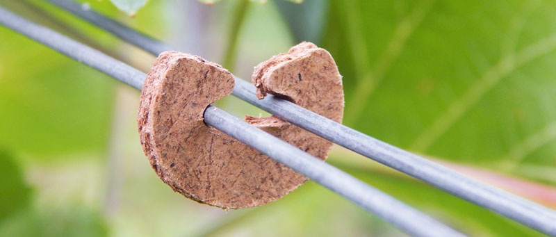 Holzklammer fürs Laubheften